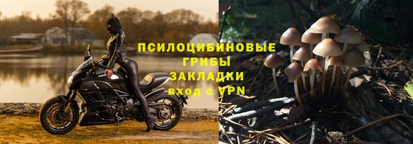 винт Корсаков